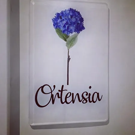 Bed & Breakfast M'ama Non M'ama Santeramo in Colle